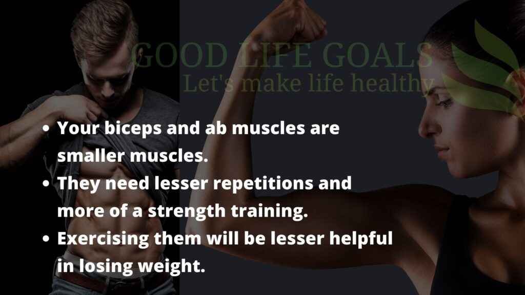 Biceps & Ab muscles NOT important for losing fat